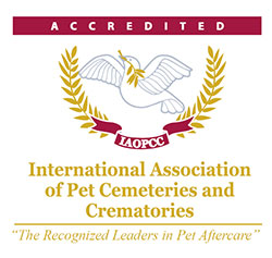 Accredited Logo